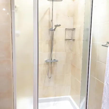 Vecchio Promenade 54 公寓 尼斯