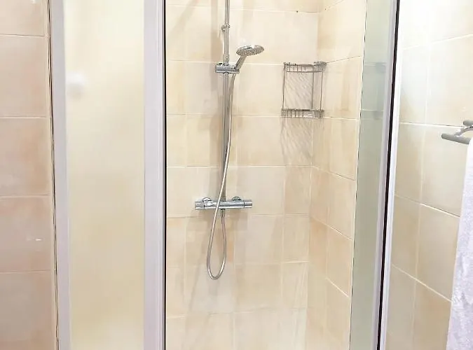Vecchio Promenade 54 公寓 尼斯